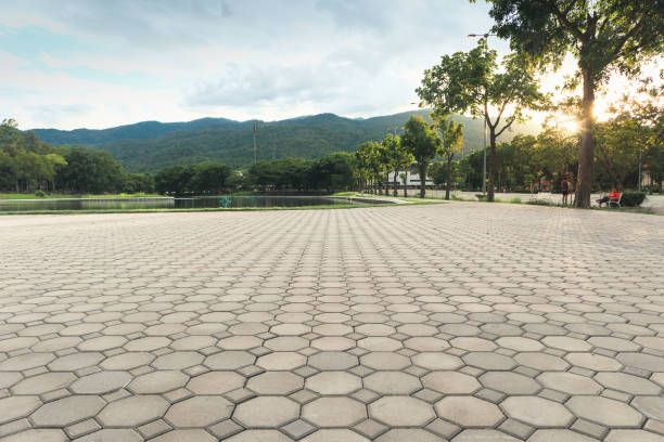 Best Driveway Paving Contractor  in Ellijay, GA